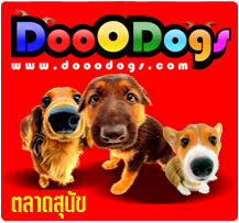 ��Ҵ�عѢ����˭����������ش�ͧ���