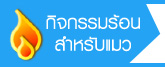 Hot Event catthailand.com