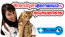 ����ѭ���١��ǻ��� ���ͼԴ�����ԭ㹡�з����