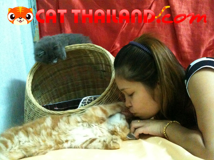 ทำไรกันน๊า
