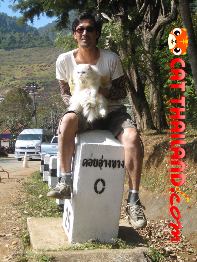wichai กับแมว