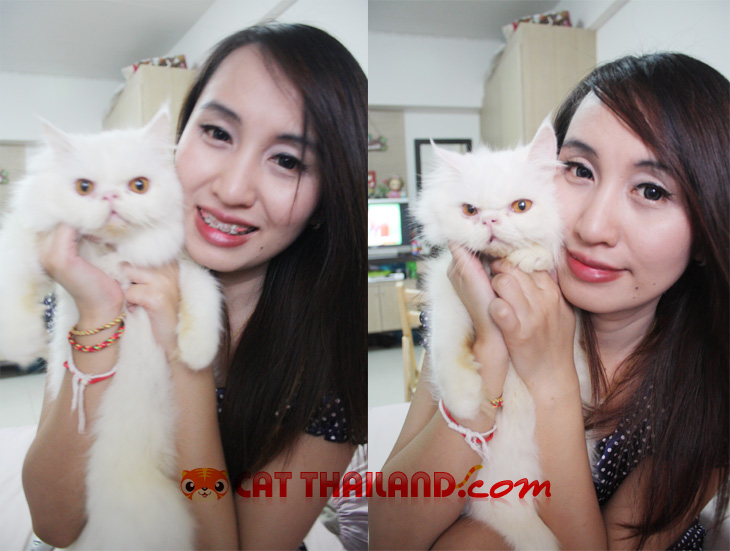 เอมมี่ กับ เจ้าเต้าหู้