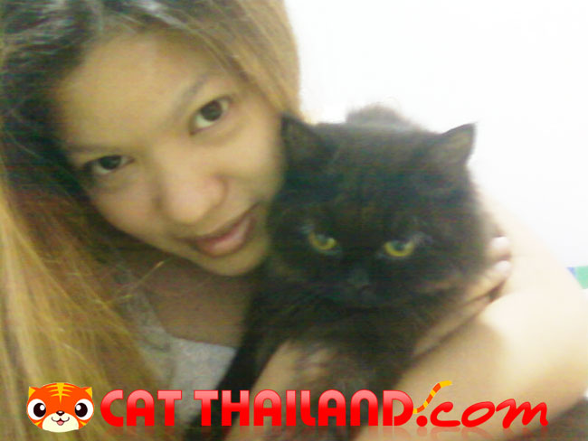 ดลฤดีกับลูกแมวจ๊ะ