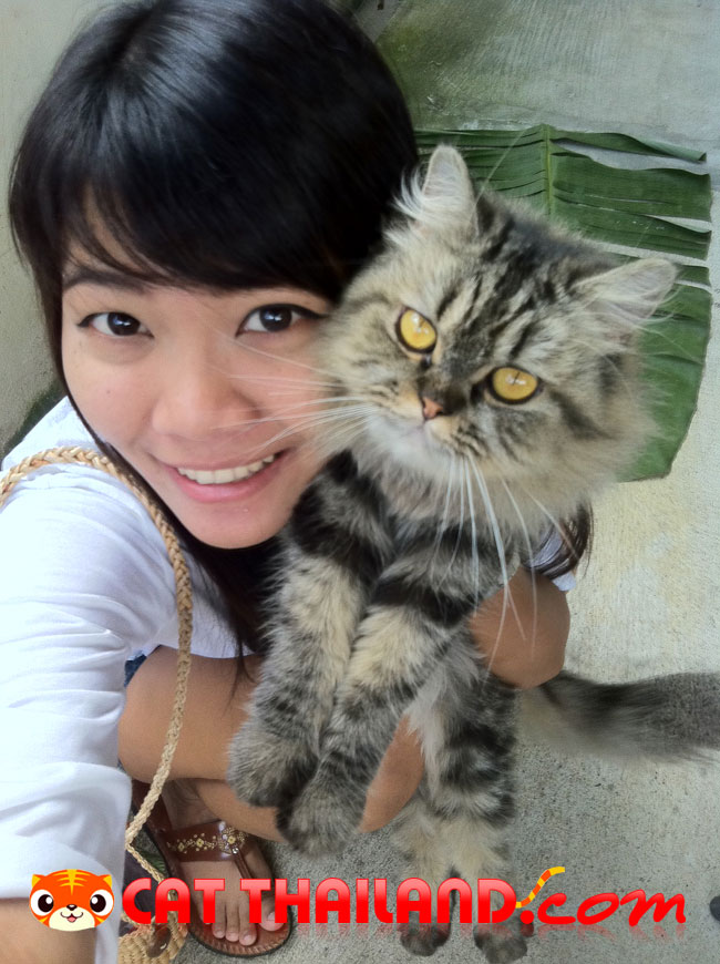 น้องเสือน้อย