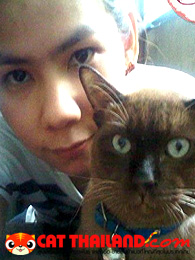 Club ��� 0282 �ҾInthira and Cat