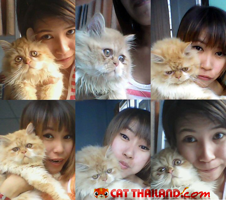 อิมจิกับน้องซิฟโป้