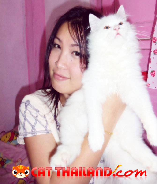 ลูกหมูกะป๋องแป้ง