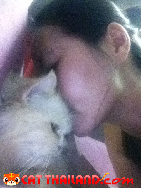 goodnight kiss
