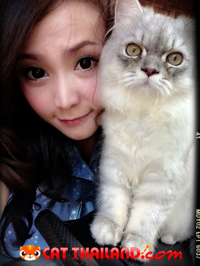 Love me Love my lion~*