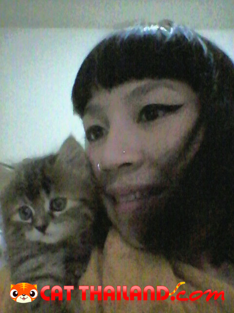 ส่งรูปคู่กับน้องเหมียว