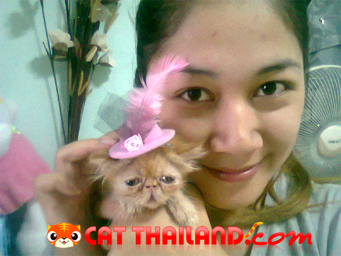นุ้ง เหมียว กะมี๊