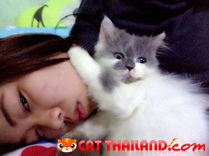 น้องเฟอร์บี้จ้า