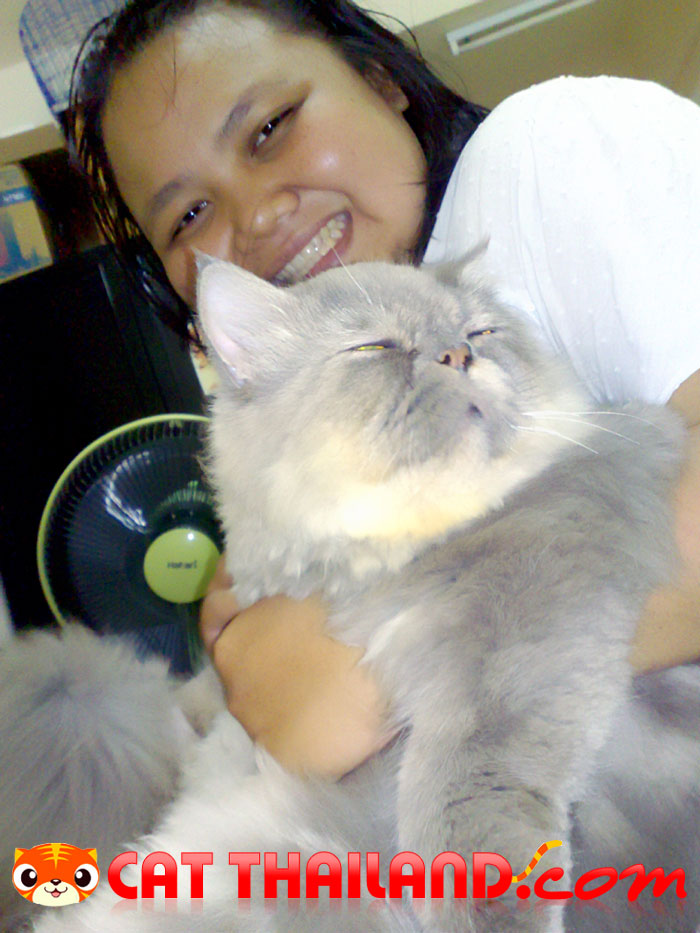 น้องเหมี่ยวชื่อหนอน