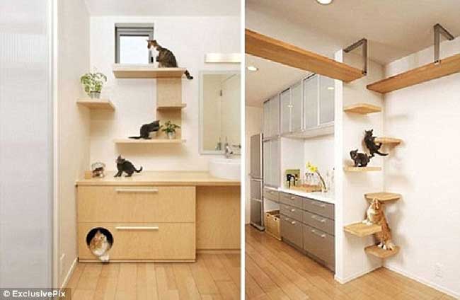 ญี่ปุ่นไอเดียเก๋ เนรมิตบ้านสวรรค์ สำหรับคนรักแมว