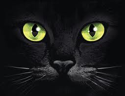 ทำความรู้จักกับพลอยตาแมว (Cat's Eye)