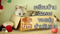 EZ pet care [by Mahidol] การเตรียมบ้าน อาหาร ของเล่นสำหรับน้องแมว