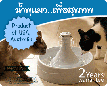 �����������ͧ�������� ��� �ѵ��ѵ� �Ѻ��Сѹ 2�� �觿�շ��ǻ���� ෤����������آ�Ҿ��ͧ��ҹ�ͧ��� ����������Тͧ�س��� ��觫�����. 084.922.6200