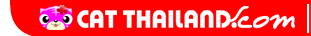 ศูนย์รวมแมวทุกสายพันธุ์ แหล่งซื้อ-ขายแมวที่ใหญ่ที่สุดในประเทศไทย