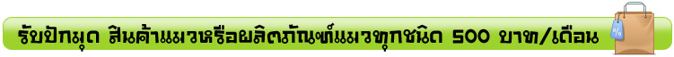 รับปุกหมุด 089-6864832 (คุณแมว)