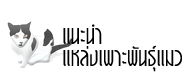 แนะนำแหล่งฟาร์มแมว