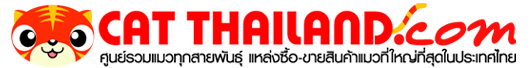 ศูนย์รวมแมวทุกสายพันธุ์ แหล่งซื้อ-ขายแมวที่ใหญ่ที่สุดในประเทศไทย