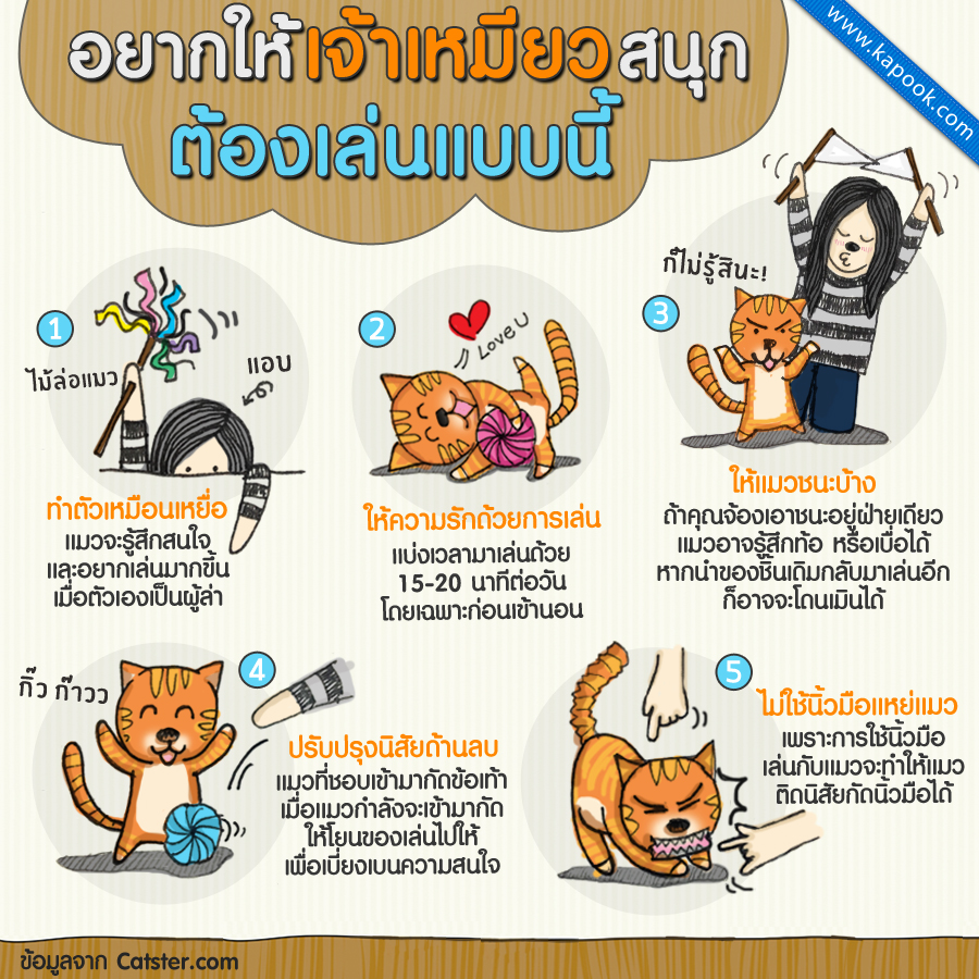 ทาสแมวรู้เอาไว้ อยากให้แมวสนุกต้องเล่นแบบนี้