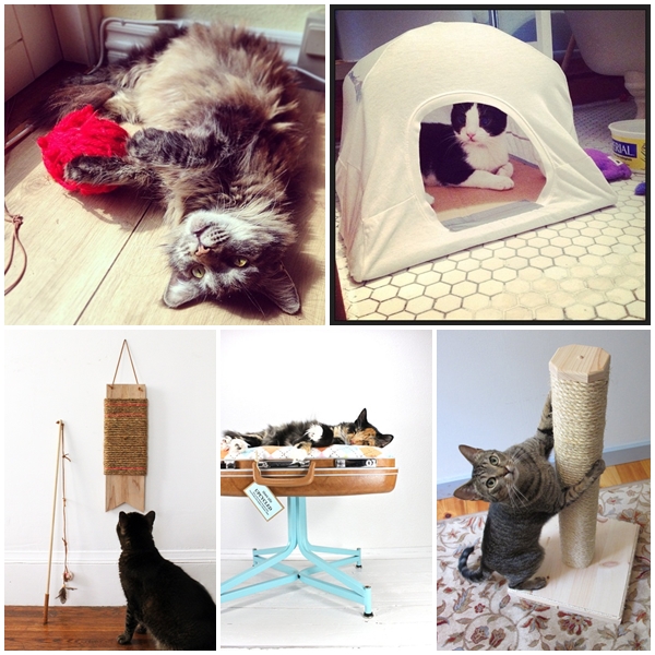 14 DIY เฟอร์นิเจอร์แมวสุดเจ๋ง สำหรับคนรักเหมียว