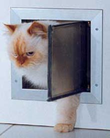 คุณมีประตูแมวหรือยังค่ะ (pet door)