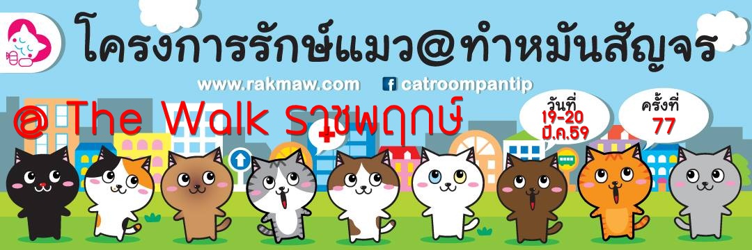 กิจกรรมทำหมันแมวครั้งที่ 77 rakmaw.com