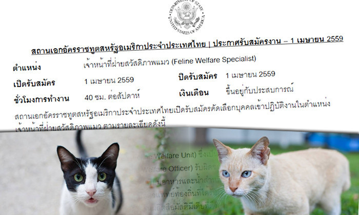 ชาวเน็ตฉงน? สถานทูตอเมริกาที่ไทย รับสมัคร 