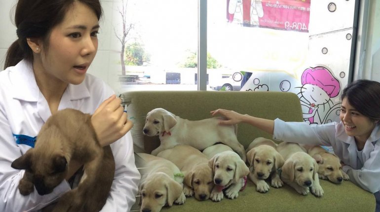 หมอครับ แมวผมป่วย! หนุ่มๆ สุดปลื้ม หมอแนน น่ารักโดนใจ!