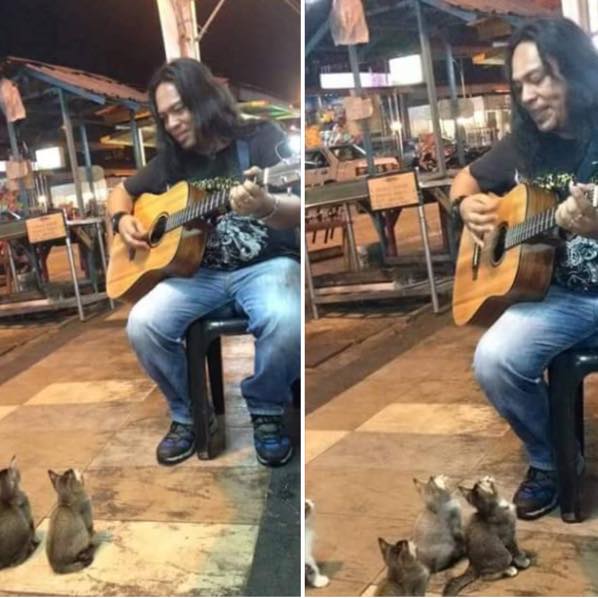 น่ารัก นักดนตรีเปิดฉากโชว์เล่นกีตาร์ ปรากฏแขกที่มานั่งล้อมวงฟังคือ..