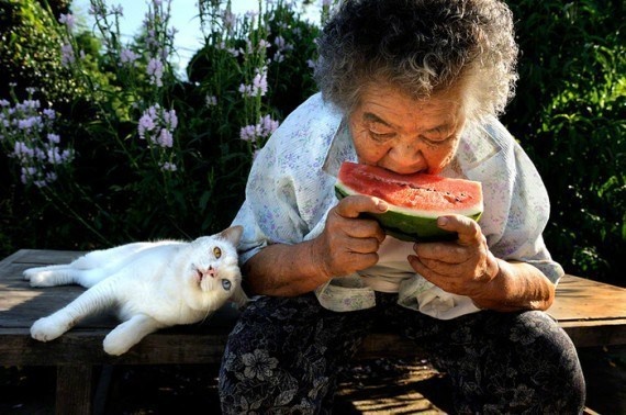 เจ้าเหมียว Fukumaru เพื่อนรักของคุณยาย Misao ได้จากคุณยายไปอย่างสงบแล้วนะ