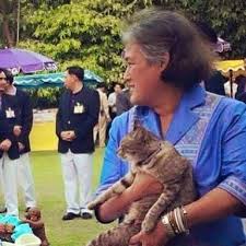 สมเด็จพระเทพฯ พระเมตตาต่อแมวทรงเลี้ยง