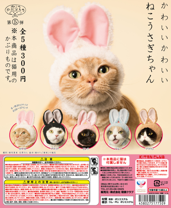 มันน่าฟัดเหลือเกิน!! นี่คือหมวกคอสเพลย์ ที่แปลงร่างแมวให้เป็น กระแต่ว (กระต่าย+แมว)