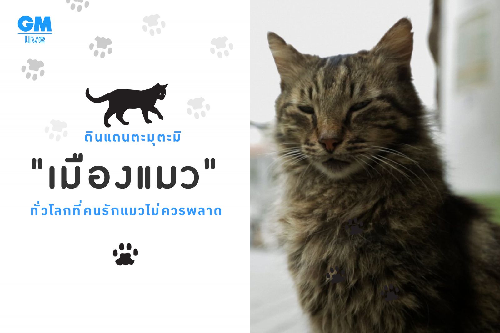 ดินแดนตะมุตะมิ รวม 
