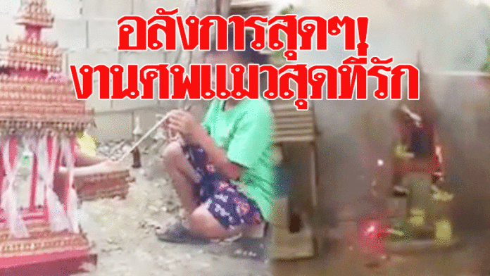 อลังการสุดๆ! งานศพแมวสุดที่รัก จัดเต็มทั้งเมรุ-โลง-พลุ คนแห่ชมนับล้าน(คลิป)