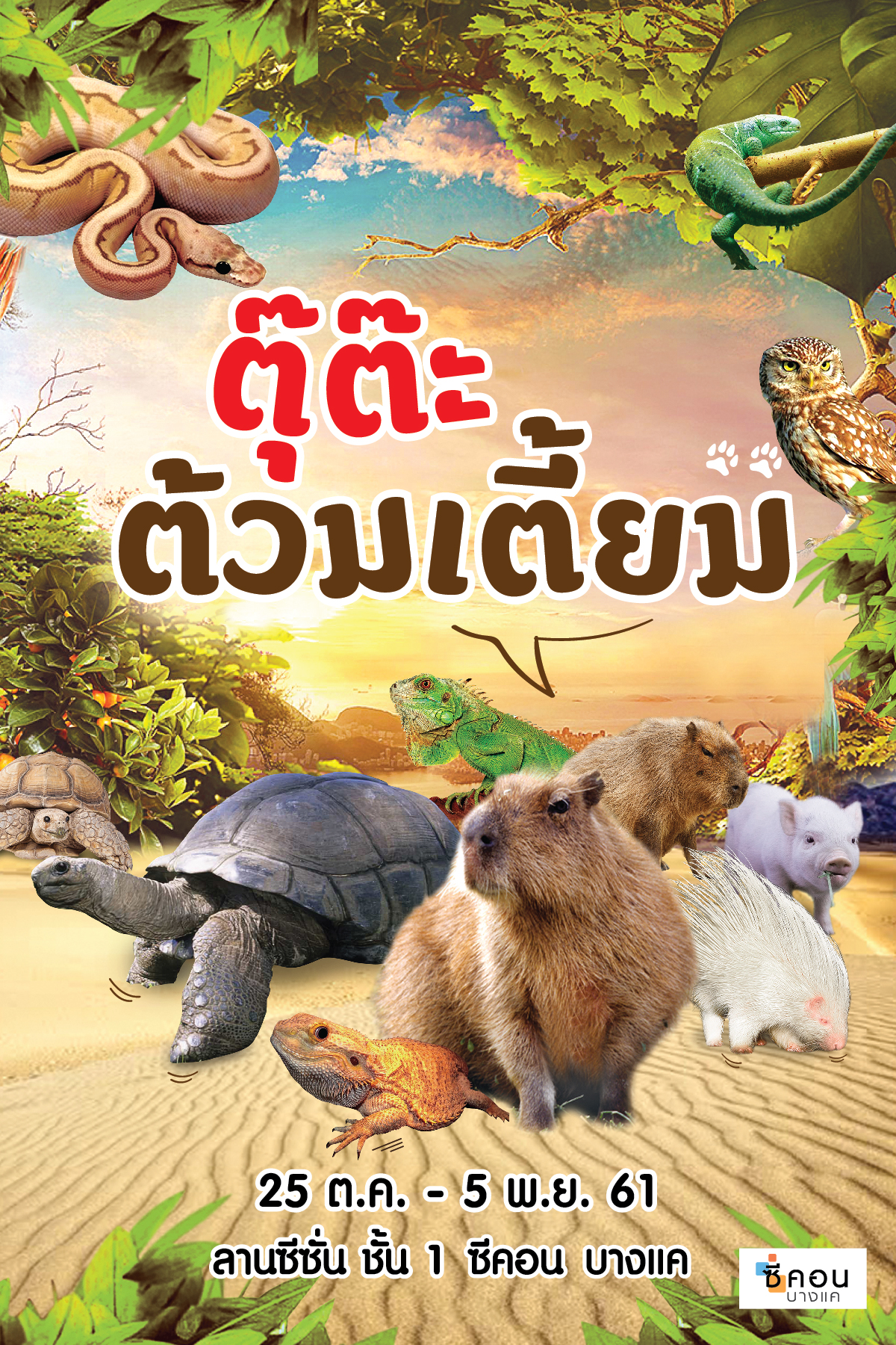 ชมความน่ารักของสัตว์ ตุ๊ต๊ะ ต้วมเตี้ยม ที่คุณเห็นแล้วต้องยิ้ม!