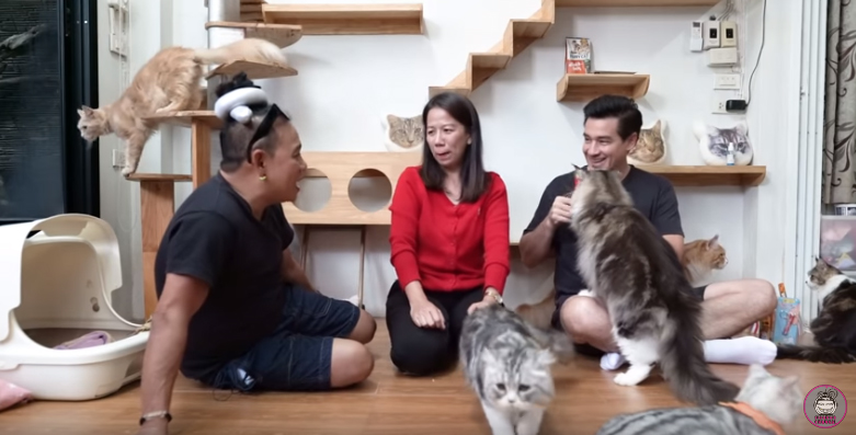 เมนคูน แมวสายพันธุ์ที่ใหญ่ที่สุดในโลก