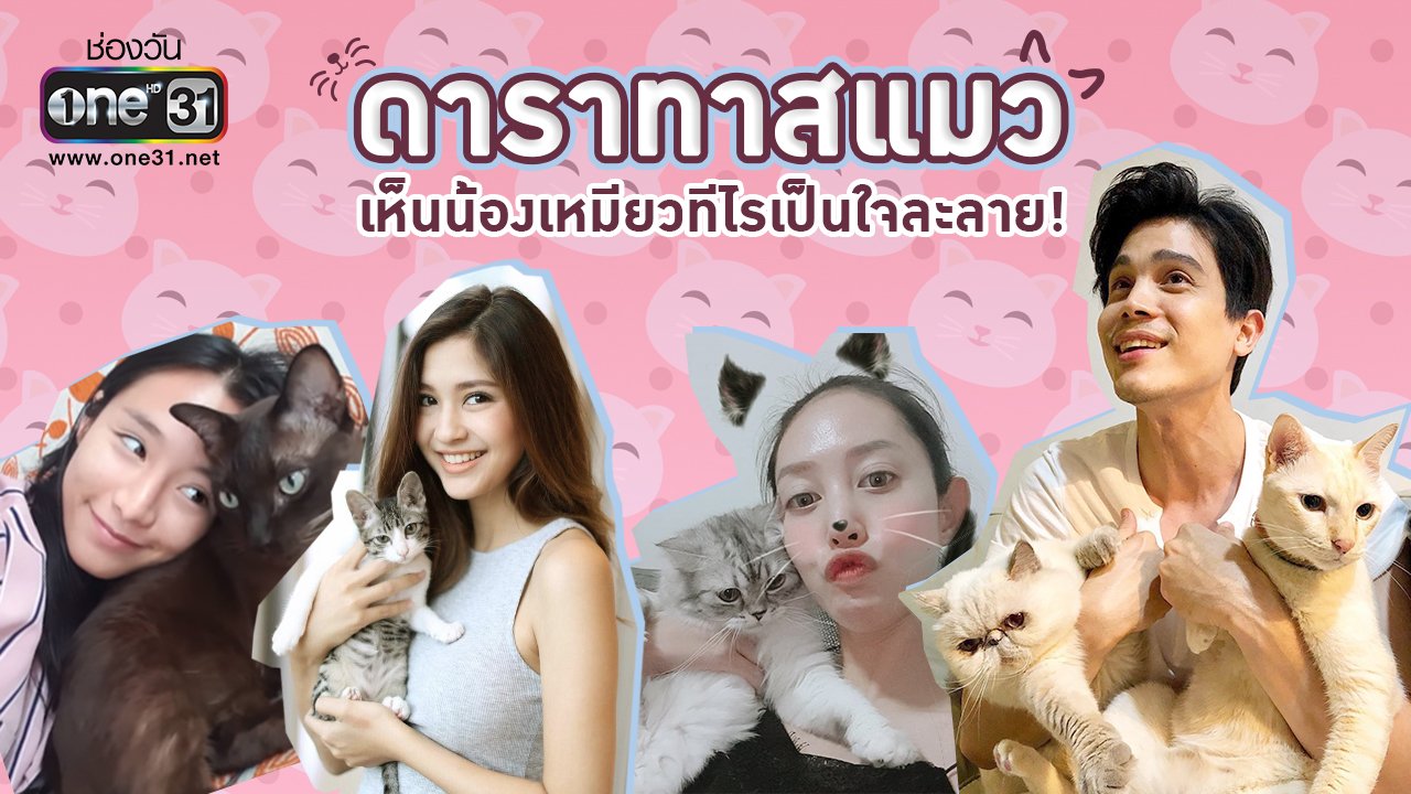 8 ดาราทาสแมว เห็นน้องเหมียวทีไรเป็นใจละลาย!