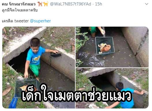 เด็กน้อยใจเมตตาช่วย ลูกแมวน้อยออกจากท่อระบายน้ำ