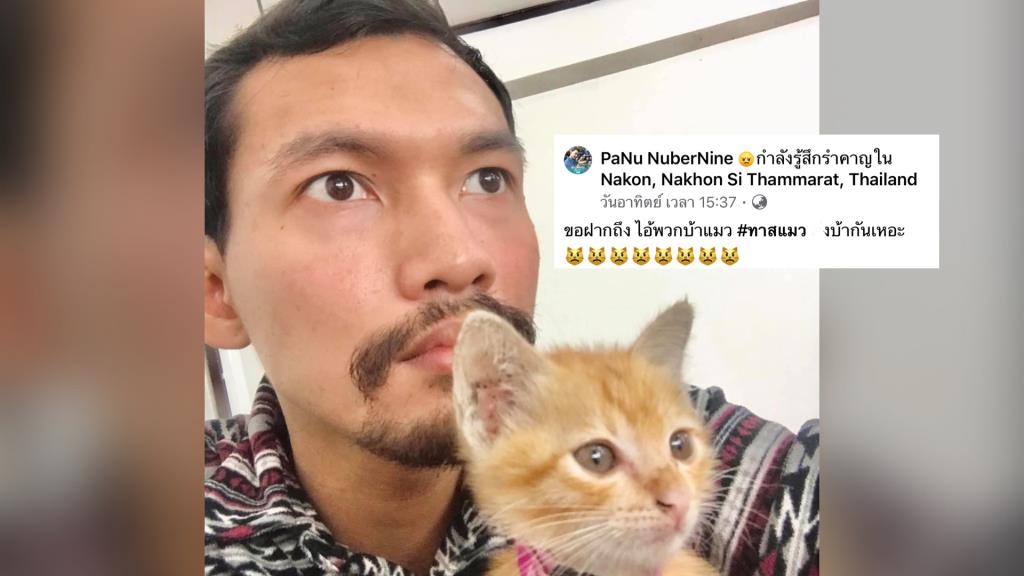 หนุ่มลั่น “ไม่ใช่ทาสแมว” เก็บมาเลี้ยงเพราะสงสาร แต่ซื้อออปชันให้เหมียวน้อยจัดเต็มมาก (ชมคลิป)