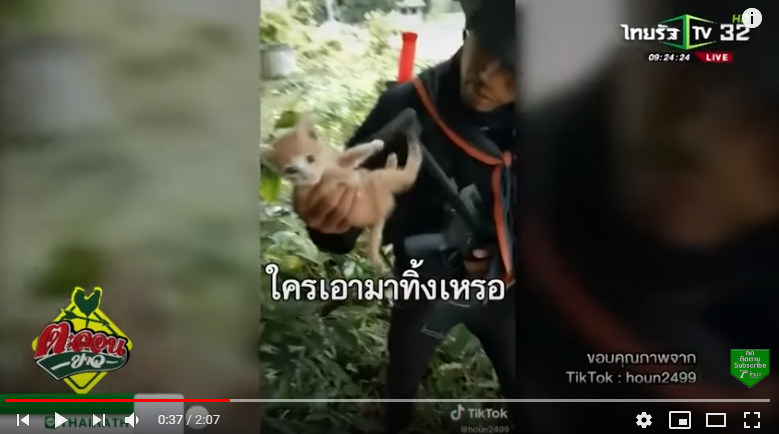 พี่ทหารใจดี ช่วยแมวน้อยกลับบ้าน