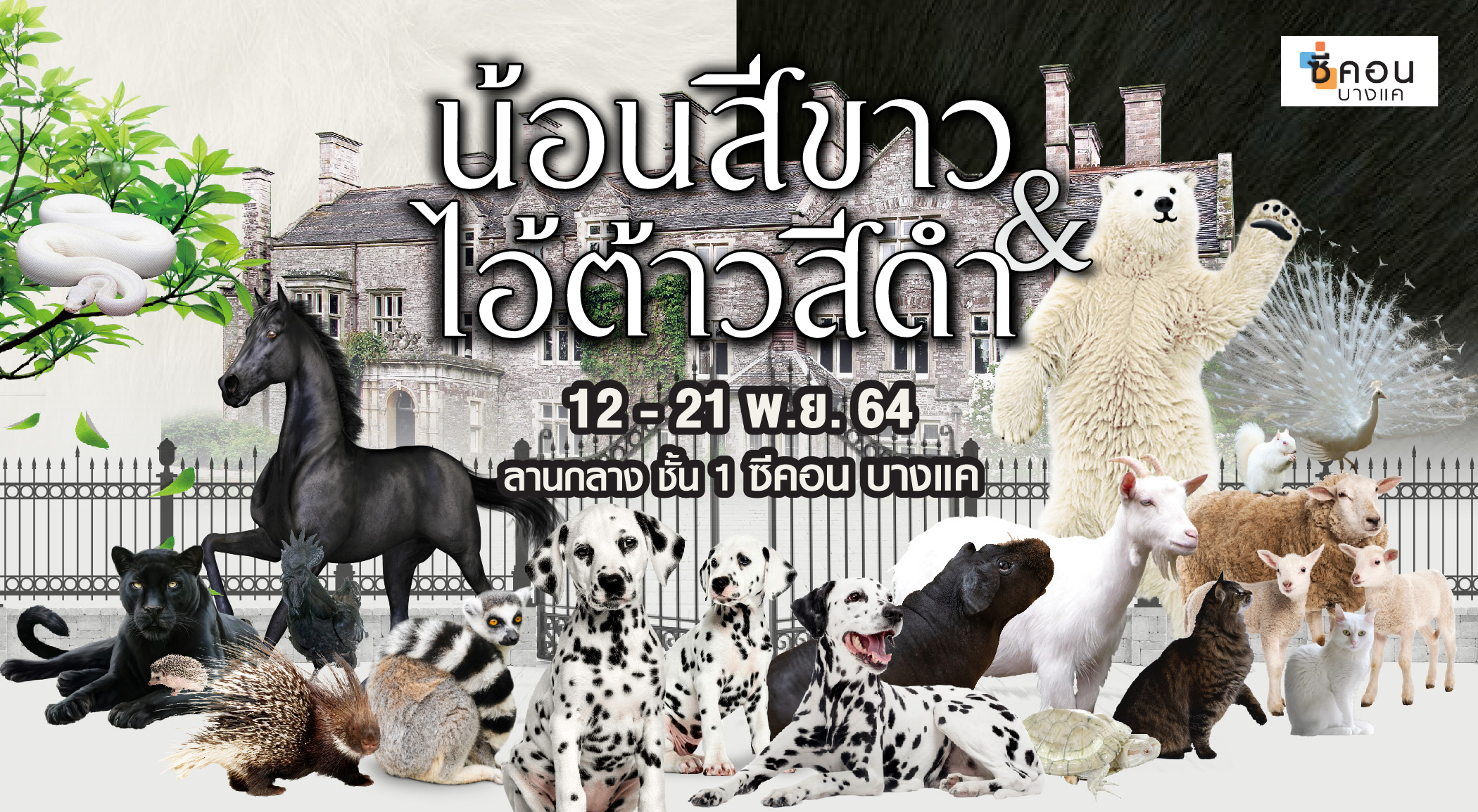 “ซีคอน บางแค” จัดงาน “น้อนสีขาว&ไอ้ต้าวสีดำ” รวมพลสัตว์ขาวดำกว่า 40 สายพันธุ์