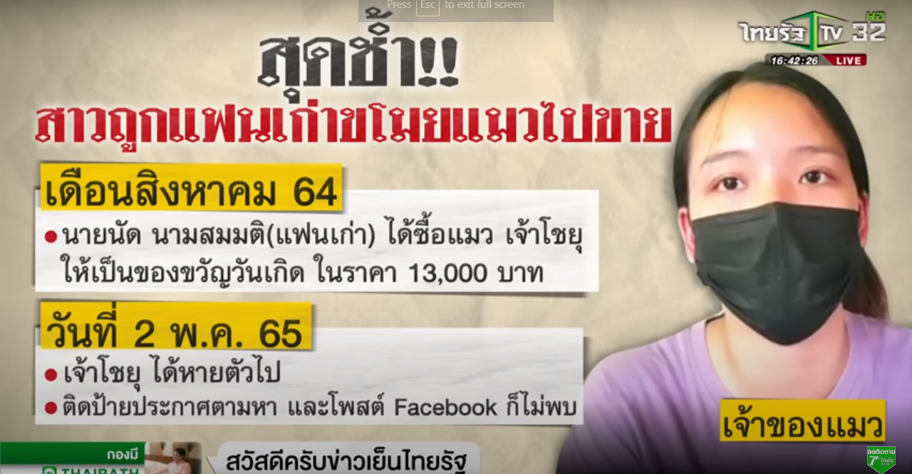สาวใจสลาย! แฟนขโมยแมวสุดรักไปขาย | 10-06-65 | ข่าวเย็นไทยรัฐ