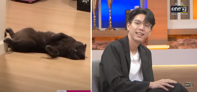 ไบร์ท นรภัทร ละมุนขึ้น เพราะเป็นทาสแมว 