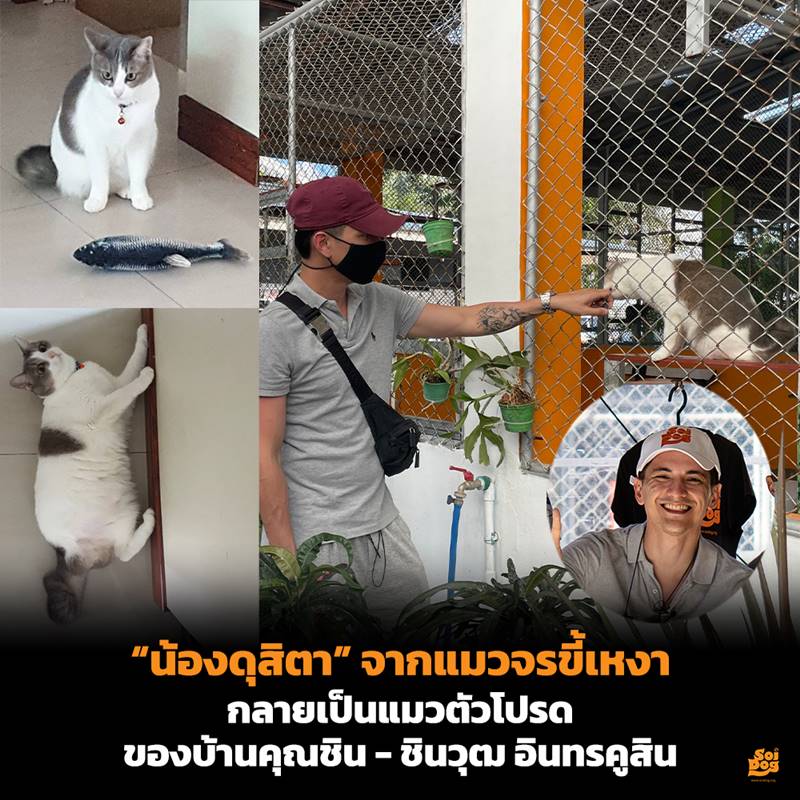 ชิน ชินวุฒ รับอุปการะน้องแมวจร 3 ขา สภาพ Before - After ต่างกันราวฟ้ากับเหว