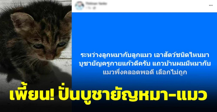 เพี้ยนไปกันใหญ่แล้ว โซเชียลฯ ปั่นฆ่าหมา-แมวบูชายัญ 