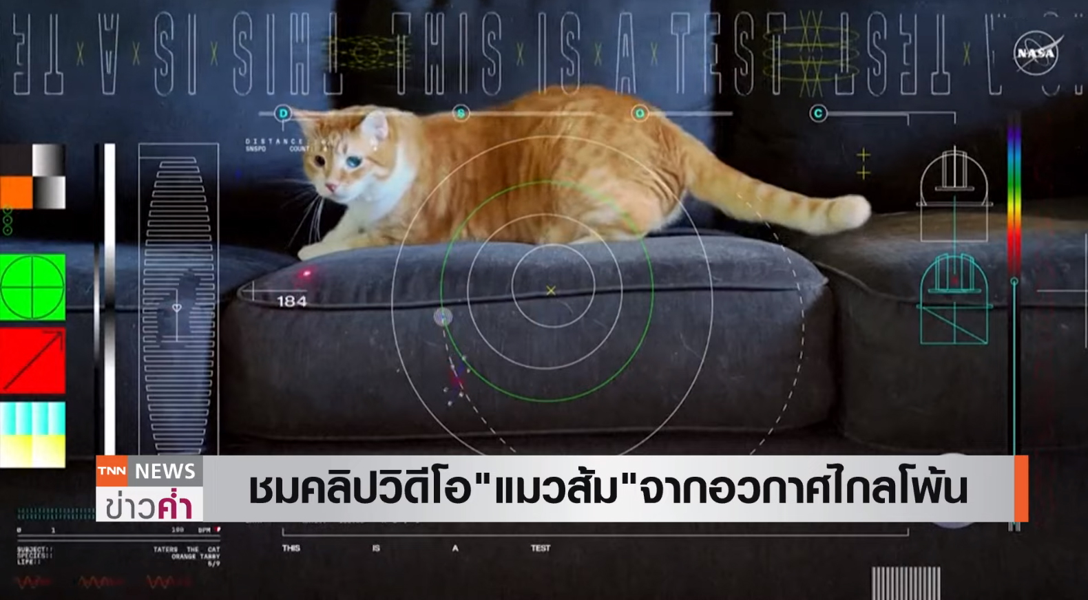 เปิดคลิป “แมวส้ม” จากอวกาศ ส่งตรงถึงโลกระยะห่าง 31 ล้าน กม. 