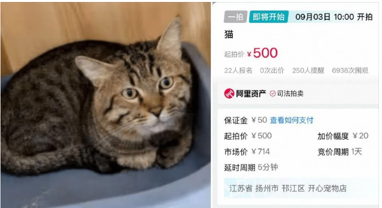 ทาสช่วยด้วย! ศาลจีนเตรียมประมูลขาย 